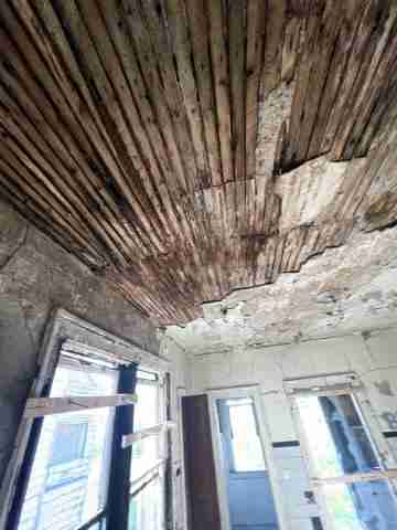 17257 bloom (33).jpg